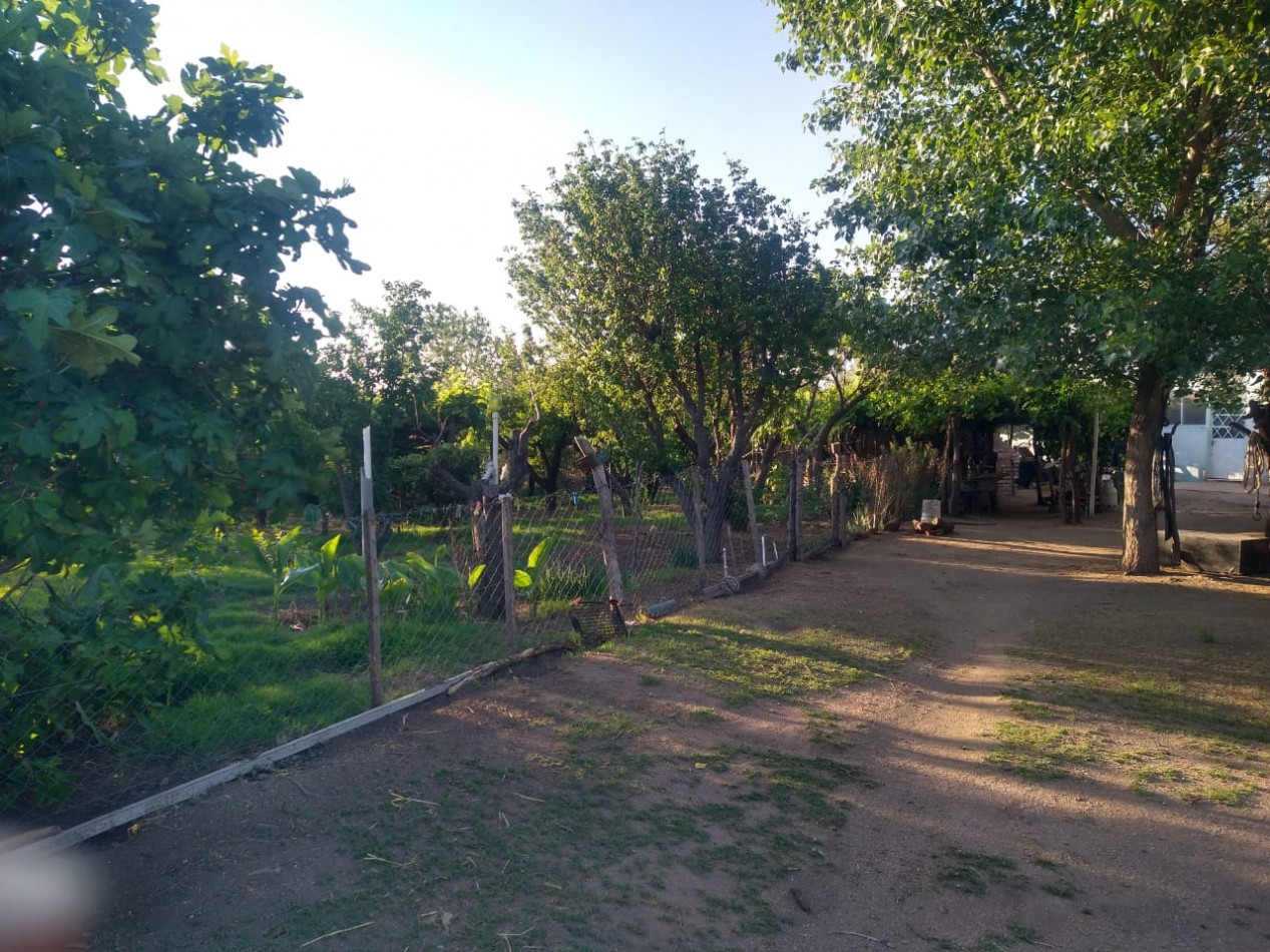 VENDE CAMPO EN PAPAGALLOS