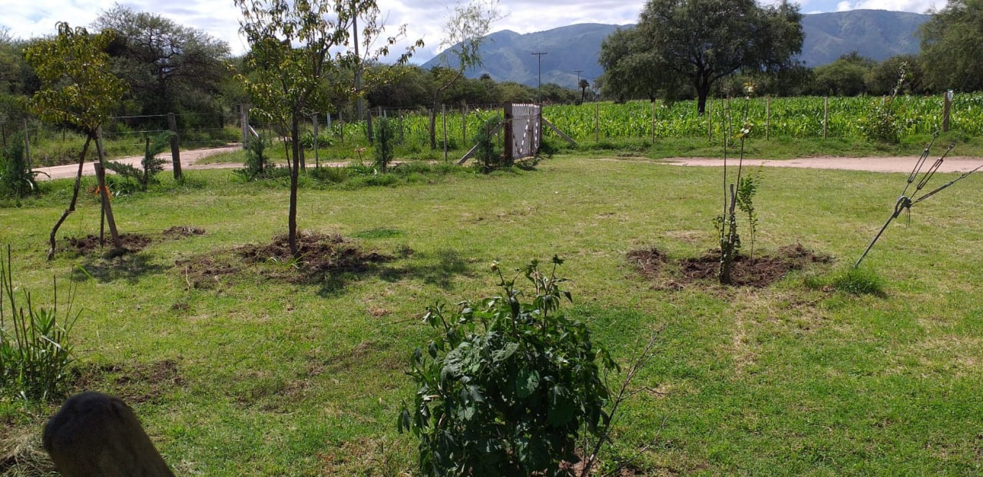 VENDE CAMPO EN PAPAGALLOS