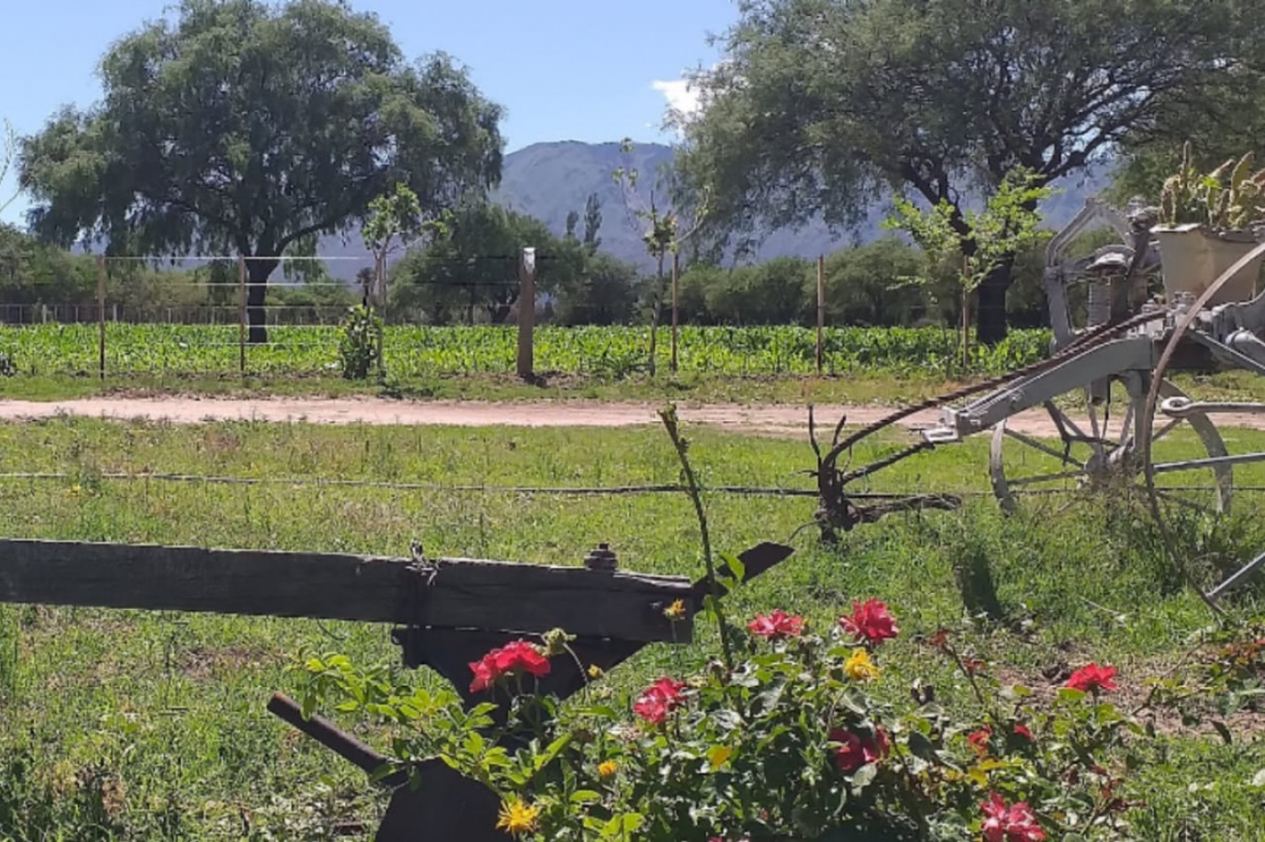 VENDE CAMPO EN PAPAGALLOS