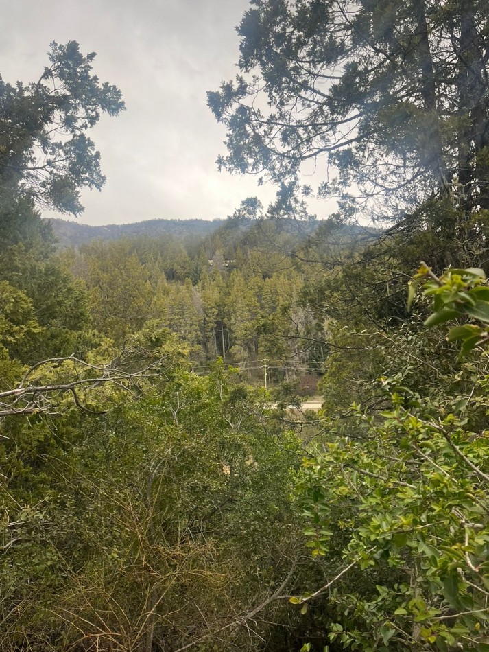 LOTE PINAR DE FESTA