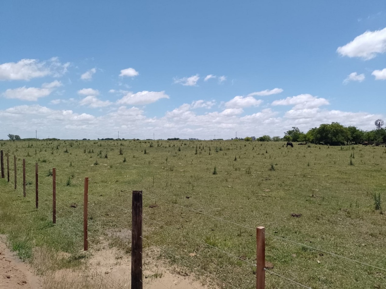 VENTA 12has DE CHACRA, FRENTE DE RUTA 56 .