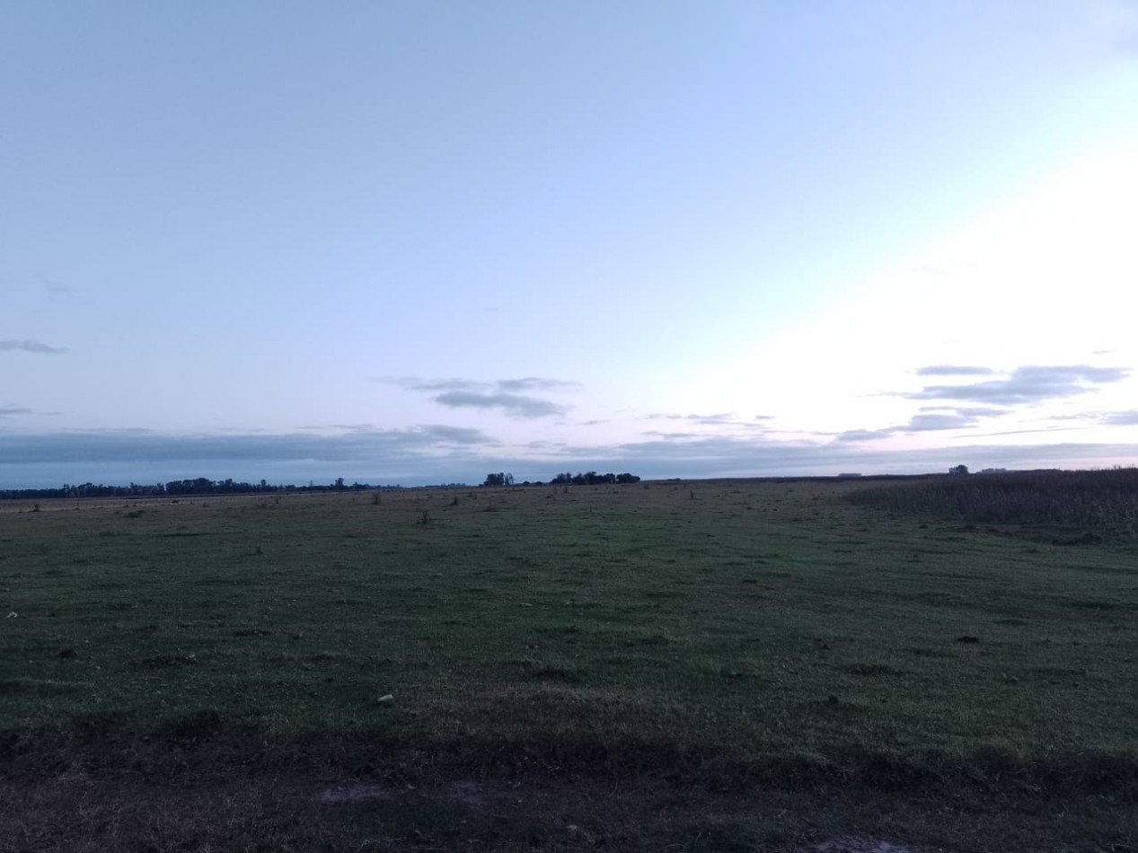 VENTA DE CAMPO EN GRAL MADARIAGA 96 has. Parceladas en 12.