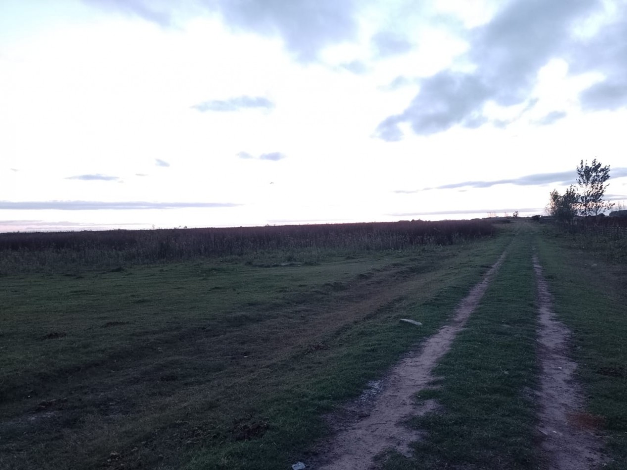 VENTA DE CAMPO EN GRAL MADARIAGA 96 has. Parceladas en 12.