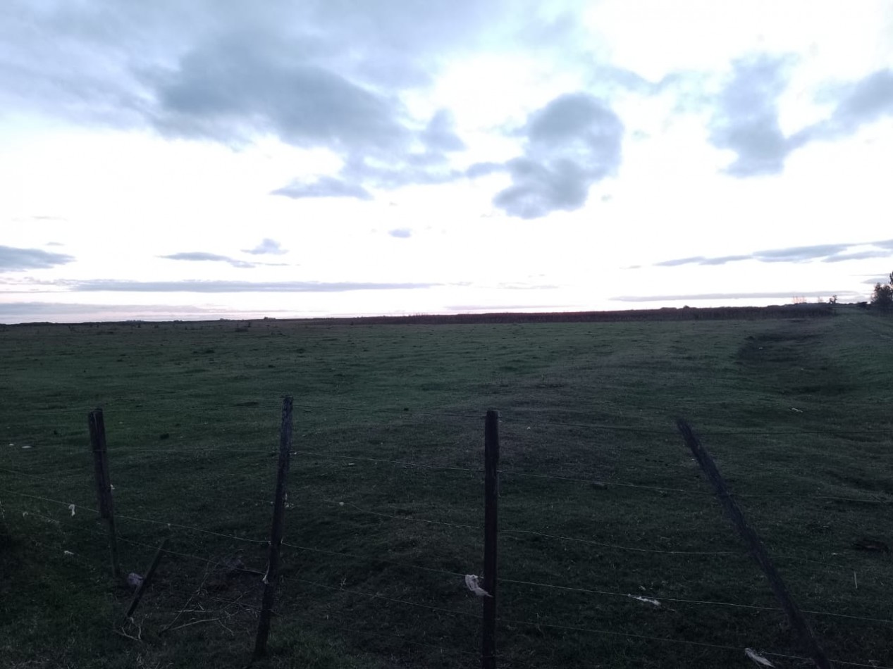 VENTA DE CAMPO EN GRAL MADARIAGA 96 has. Parceladas en 12.