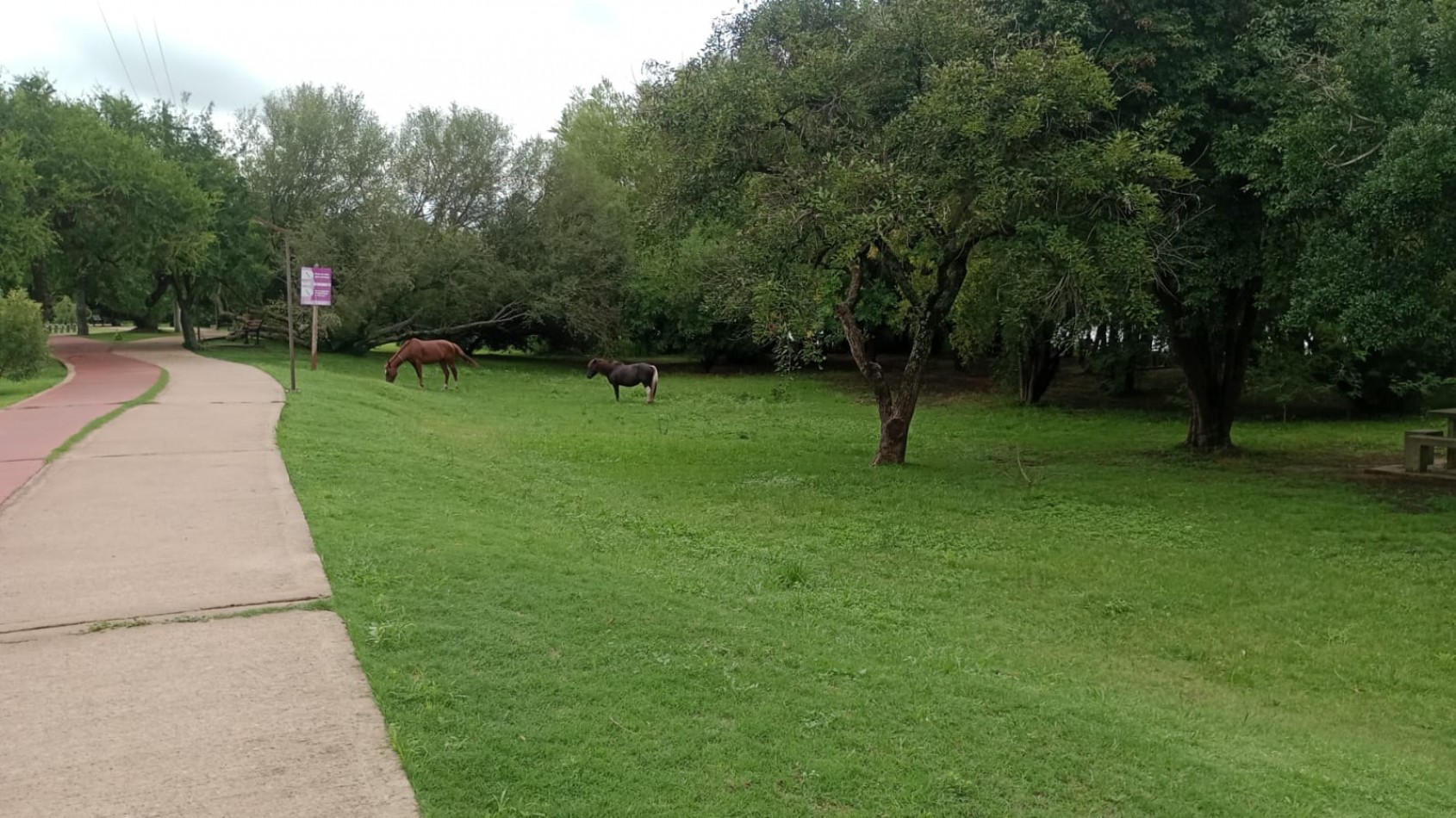 COMPLEJO DE CABAÑAS EN GUALEGUAYCHU, ZONA TURISTICA - PARQUE UNZUE.