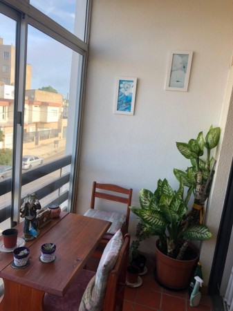VENTA DEPARTAMENTO EN ZONA CENTRO