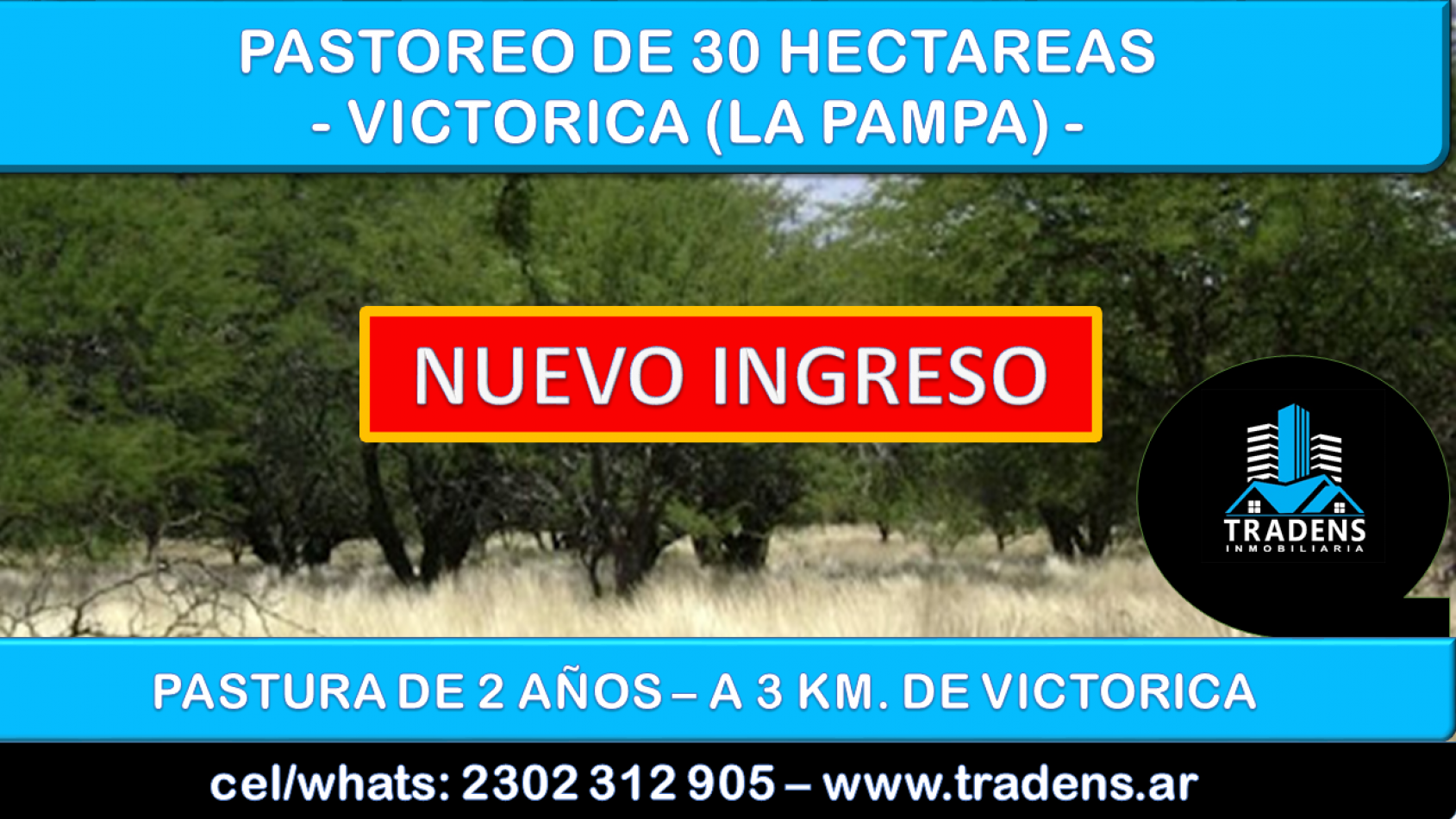 PASTOREO - 30 HECTAREAS -