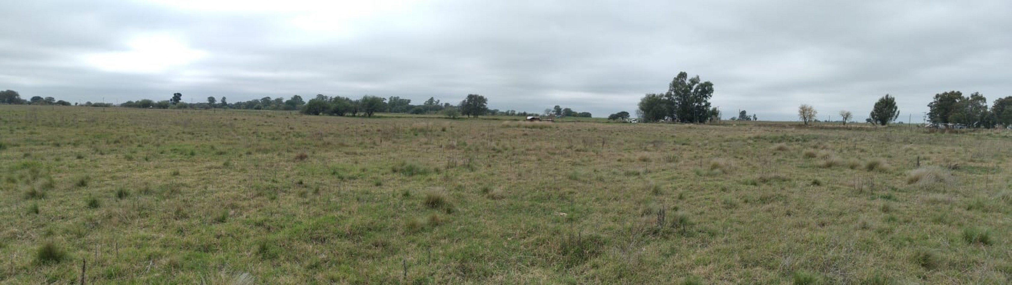 QUINTA EN VILLA MIRASOL: 2,82 HECTAREAS.