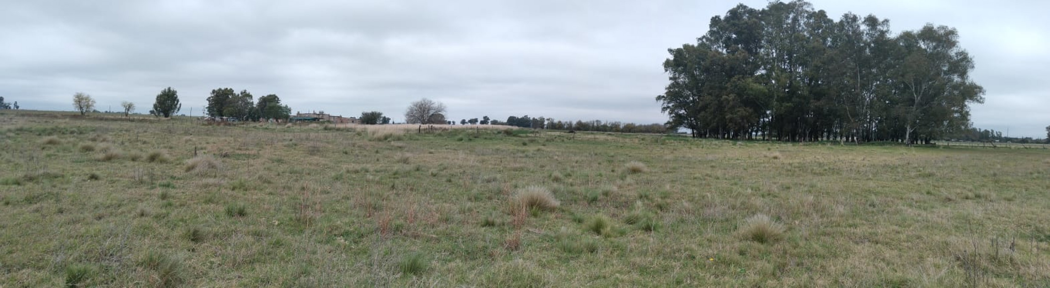 QUINTA EN VILLA MIRASOL: 2,82 HECTAREAS.