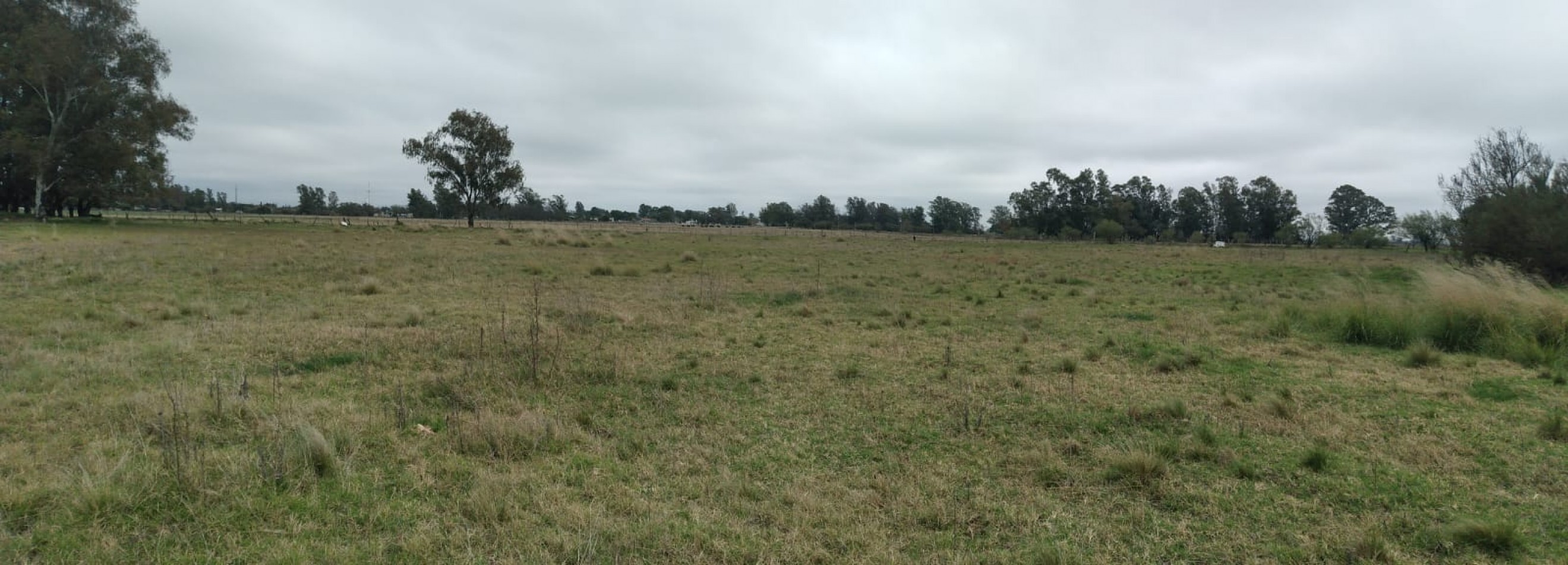 QUINTA EN VILLA MIRASOL: 2,82 HECTAREAS.