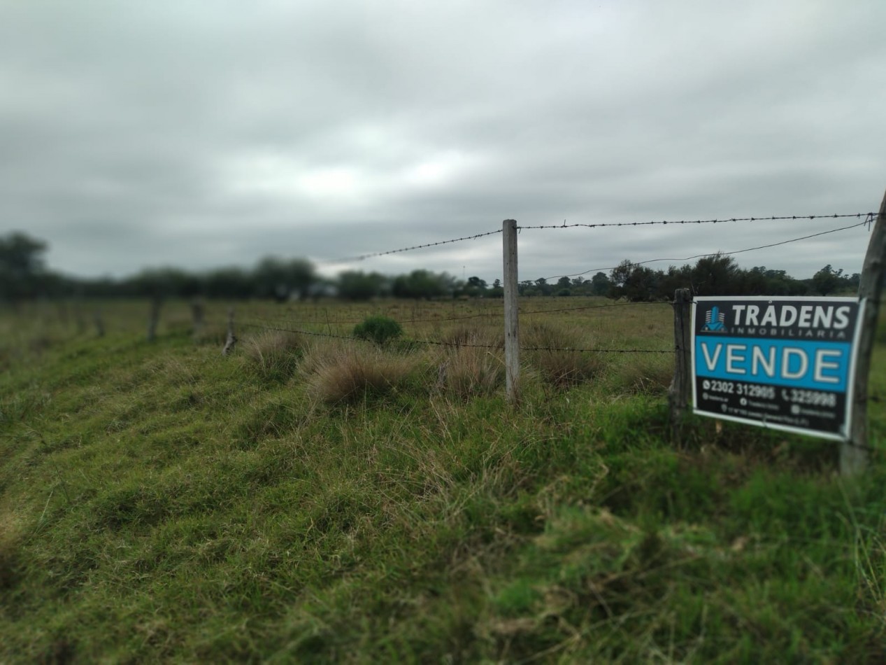 QUINTA EN VILLA MIRASOL: 2,82 HECTAREAS.