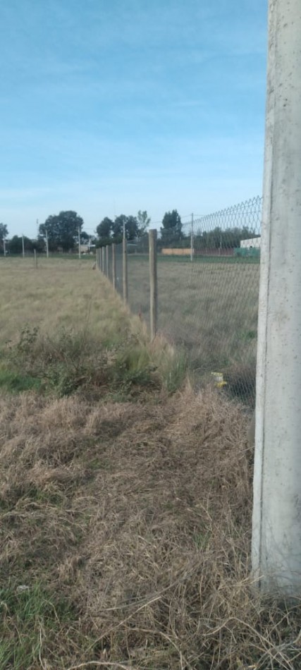 EXCEPCIONAL TERRENO EN DORILA (LP)