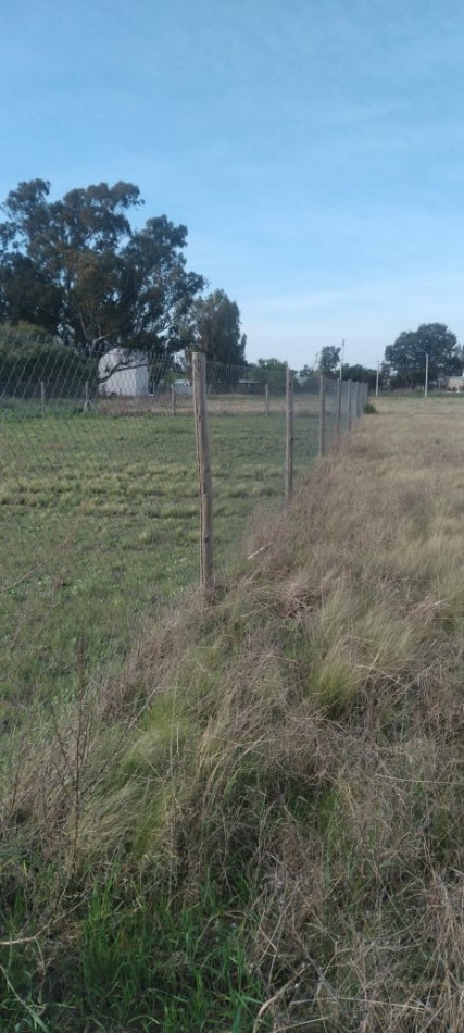 EXCEPCIONAL TERRENO EN DORILA (LP)