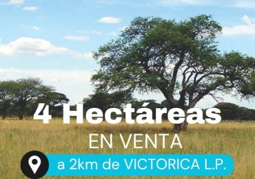 CHACRA EN VICTORICA - EXCEPCIONAL OPORTUNIDAD!