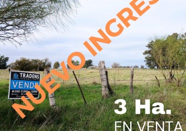 QUINTA EN VILLA MIRASOL: 2,82 HECTAREAS.