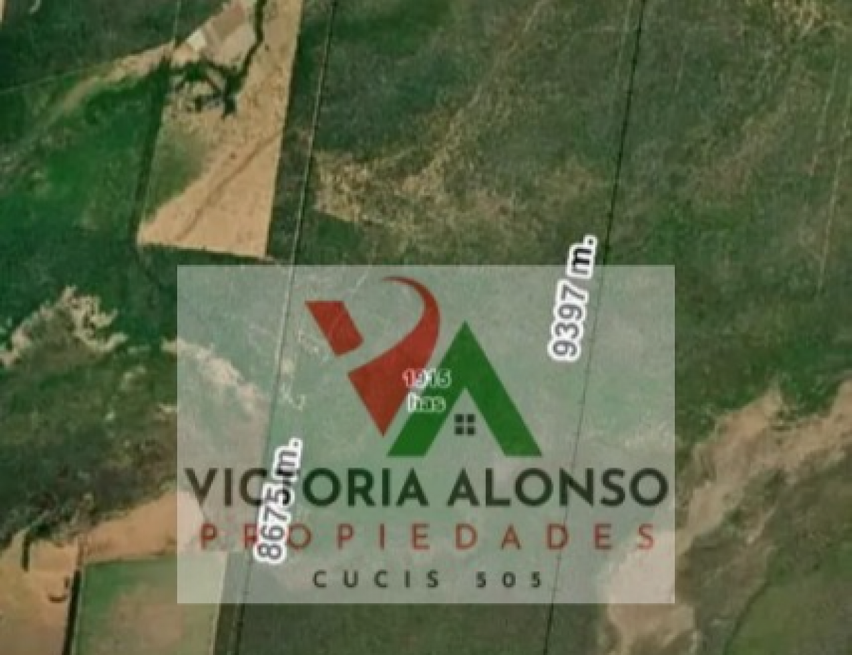  FINCA - PROVINCIA SALTA - ZONA ANTA