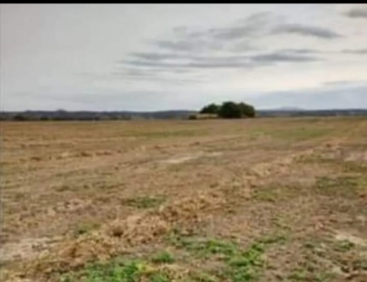 •	VENDO FINCA ZONA EMBARCACION - SALTA