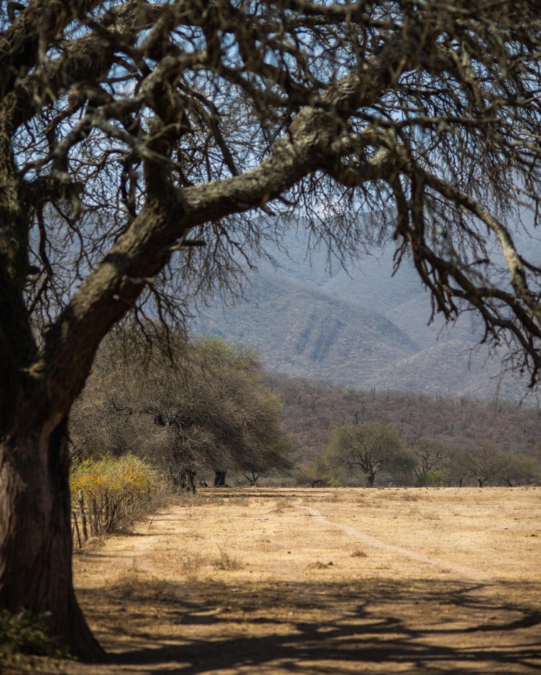 TERRENO EN LOTEO TIERRA ALTA - CERRILLOS EN CUOTAS