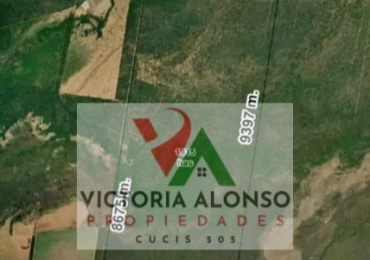  FINCA - PROVINCIA SALTA - ZONA ANTA